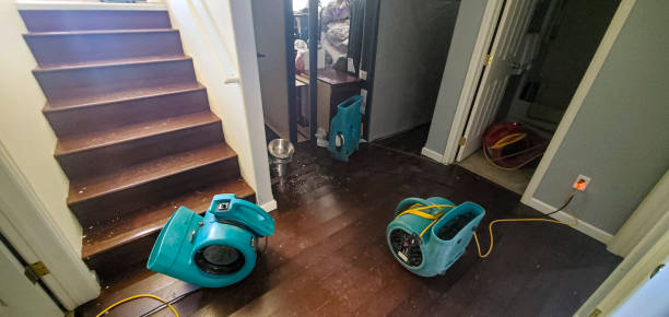 Best 24-hour water damage restoration  in Midwest City, OK