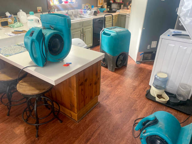 Best Flood damage cleanup  in Midwest City, OK