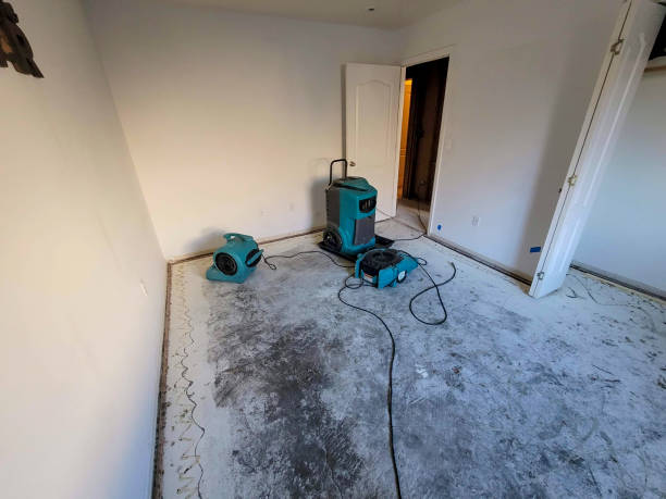 Best Water damage restoration near me  in Midwest City, OK