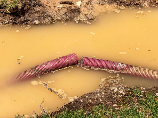 Best Flooded house restoration  in Midwest City, OK