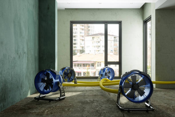 Best Water damage contractors near me  in Midwest City, OK